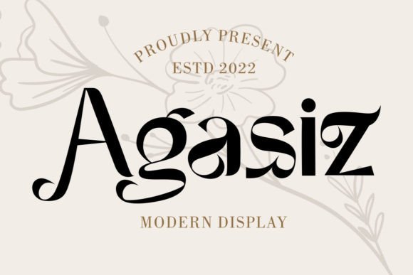 Agasiz: A Display Font for Creative Crafters and Product Makers